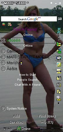 ICQ SKIN PANEL